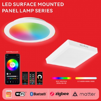 LED SURFACE MOUNTEDPANELLAMP SERIES